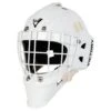 Victory V2 Junior Custom Goalie Mask